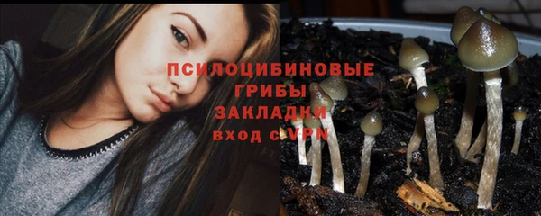 кристаллы Алзамай