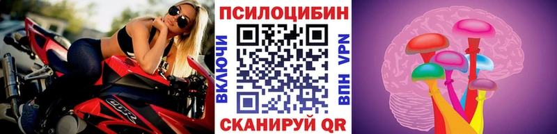 купить наркотики цена Геленджик Псилоцибиновые грибы Psilocybine cubensis