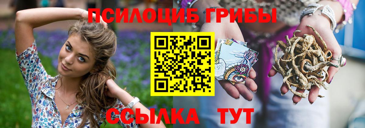 Геленджик  Псилоцибиновые грибы Psilocybine cubensis  Вход с VPN  Галлюциногенные грибы Magic Shrooms 
